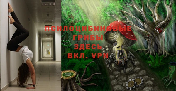 бошки Балахна