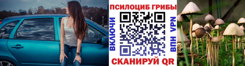 купить наркотик  Пудож  Псилоцибиновые грибы ЛСД 